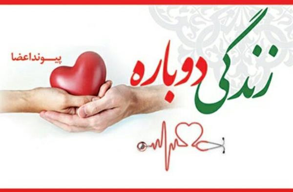 از سال آینده شرایط پیوند قلب در استان فراهم می شود
