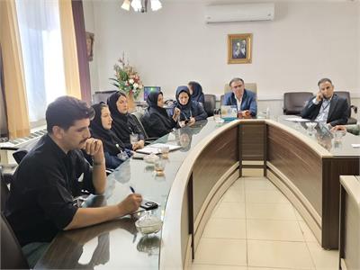 کمیته فناوری اطلاعات (IT)