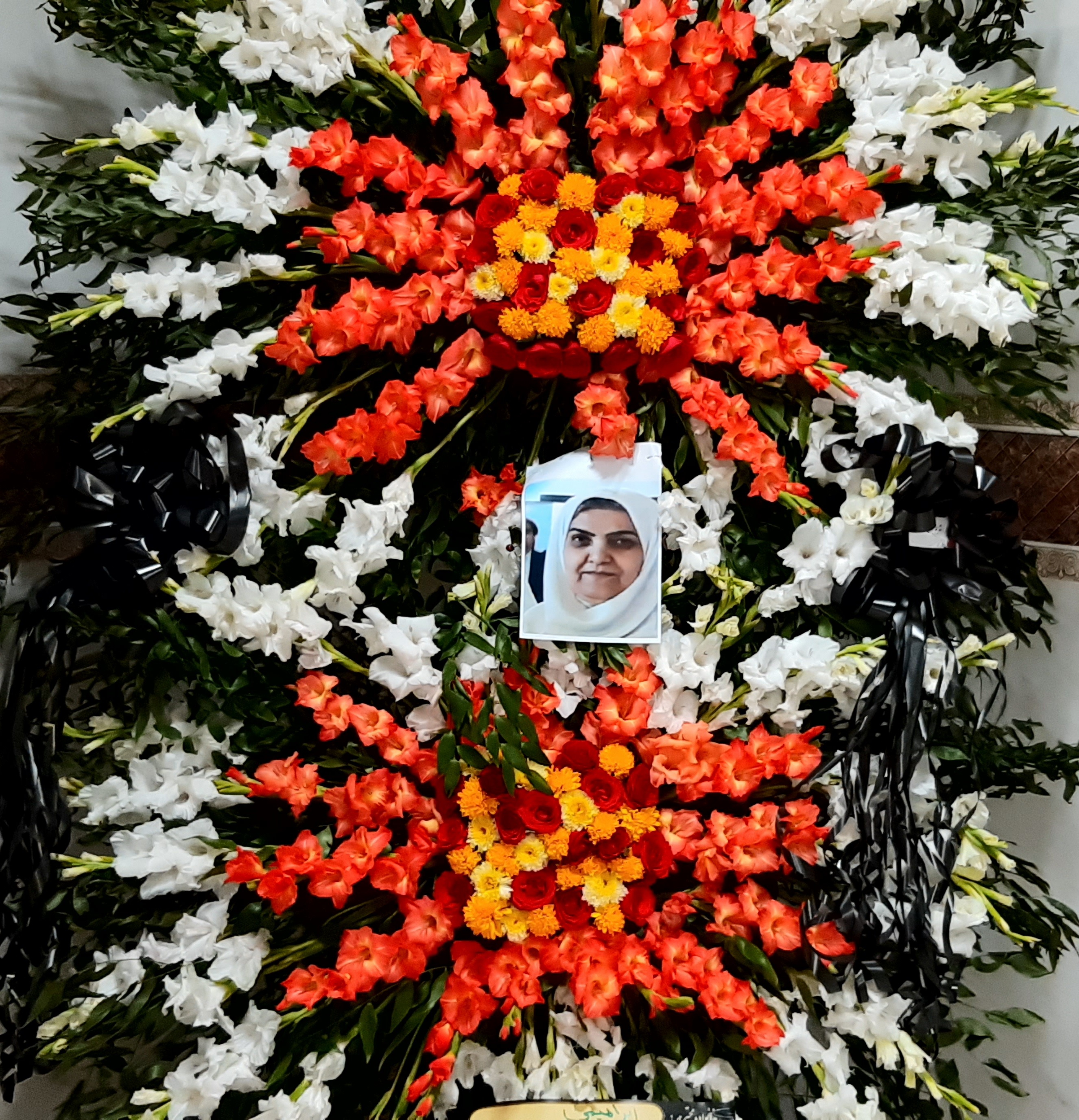 خانم ابراهیمی