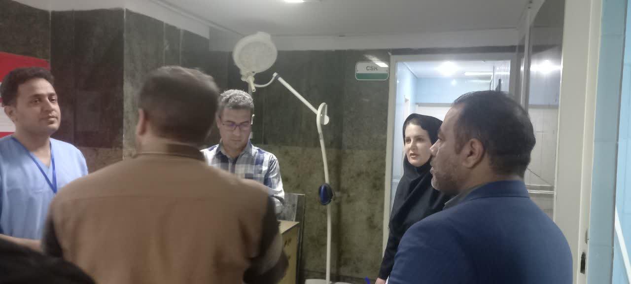 بازدید شبانه-1